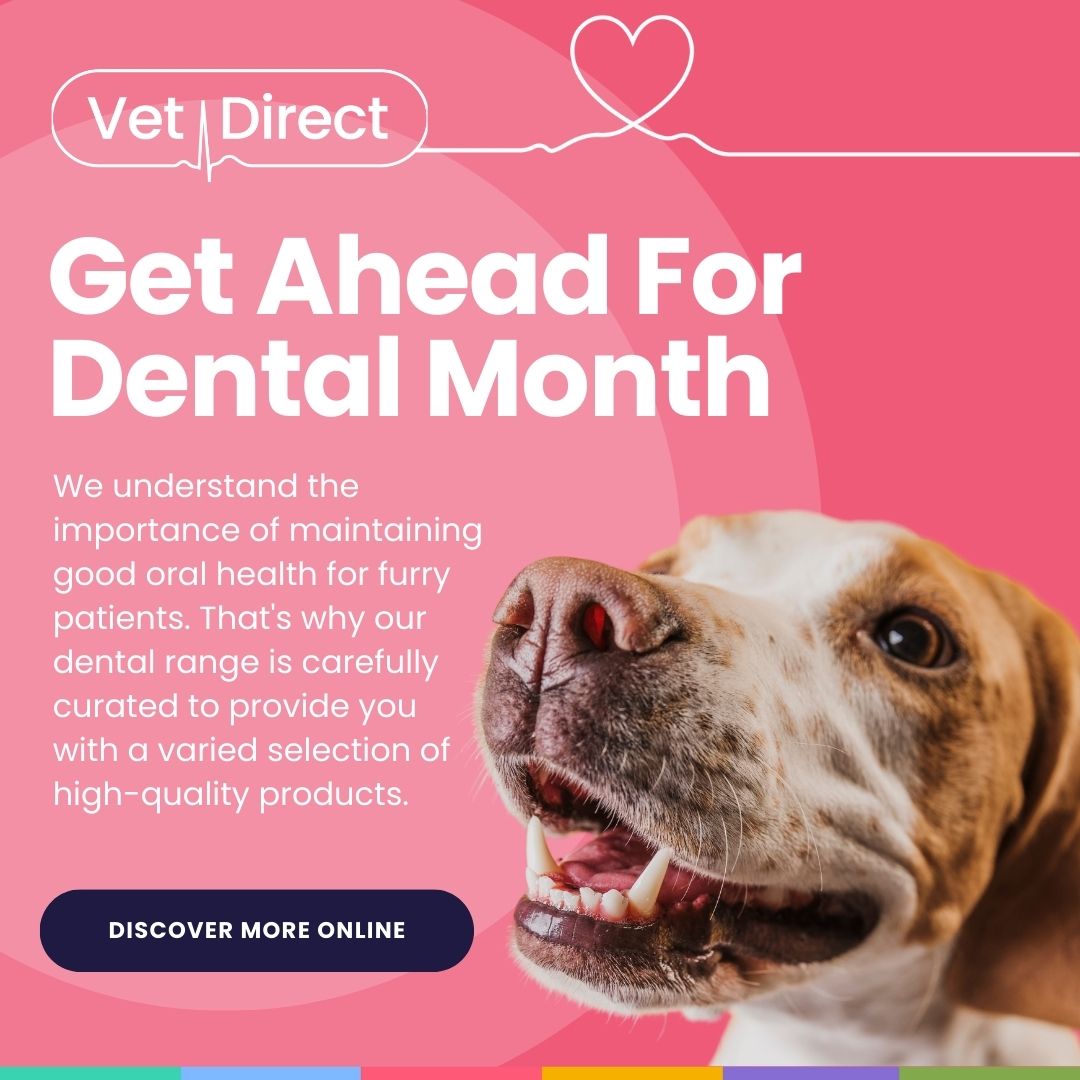 Vet Direct Get Ready For Dental Month with Vet Direct